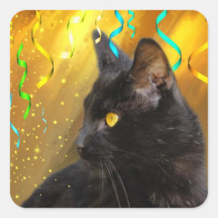 Sticker Carré Partie de chat noir