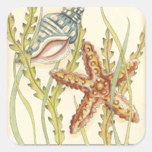 Sticker Carré Partie Shell multicolore