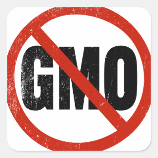 Sticker Carré Pas d'OGM, pas d'OGM, marche contre Monsanto