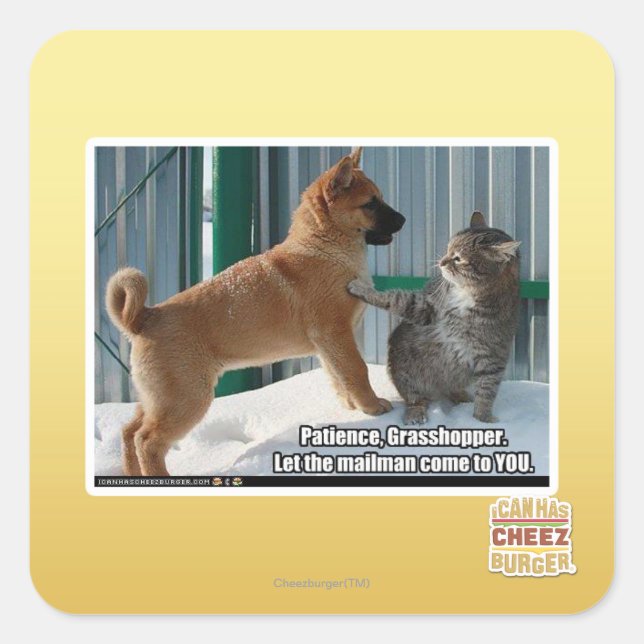 Sticker Carré Patience, sauterelle. (Devant)