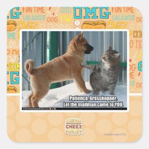 Sticker Carré Patience, sauterelle.