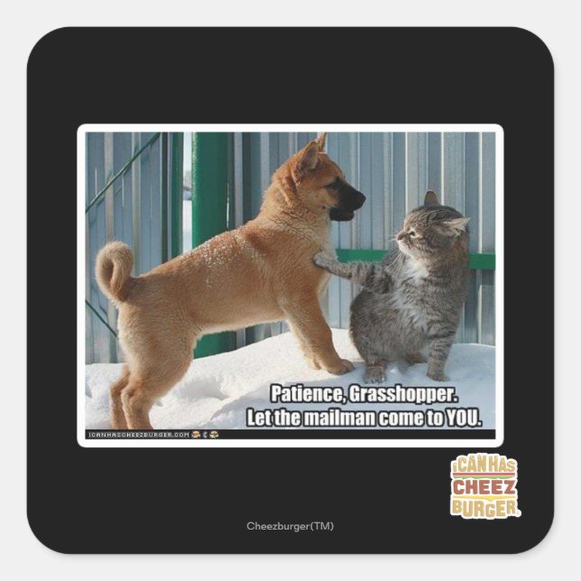 Sticker Carré Patience, sauterelle. (Devant)