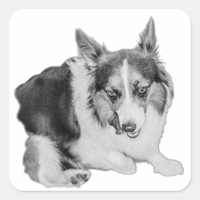 Sticker Carré Patrol Snack (Devant)