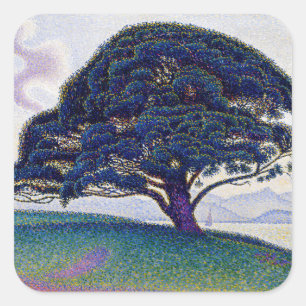 Sticker Carré Paul Signac - Le pin de Bonaventure