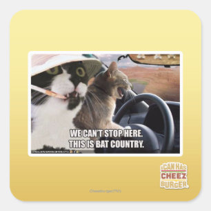 Sticker Carré Pays chauve