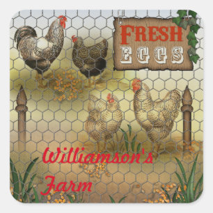 Sticker Carré Pays Poulet Agricole Oeufs Frais Nom