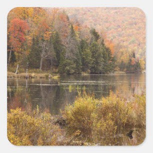 Sticker Carré Paysage d'automne avec lac, Vermont, États-Unis 3