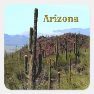 Sticker Carré paysage montagneux de saguaro en Arizona