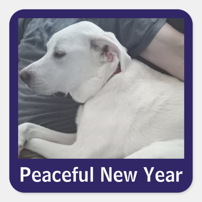 Sticker Carré Peaceful New Year Cute Dog Photo with Dad Blue (Devant)