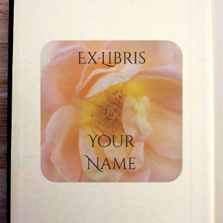 Sticker Carré Peach-Colored Rose Bookplate
