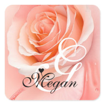 Peach Fuzz Rose Arrière - plan Monogramme Nom Coeu