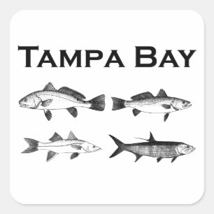 Sticker Carré Pêche dans les eaux salées de la baie Tampa