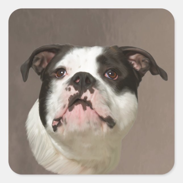 Sticker Carré Peinture couleur d'eau Bulldog (Devant)