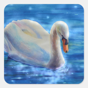 Sticker Carré Peinture d'aquarelle blanche pour cygne