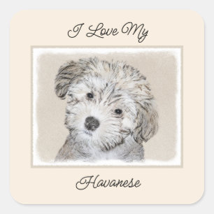 Sticker Carré Peinture de Chien Havanais - Cute Original Chien A