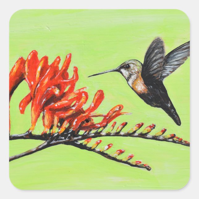 Sticker Carré Peinture de colibri et de crocosmia (Devant)