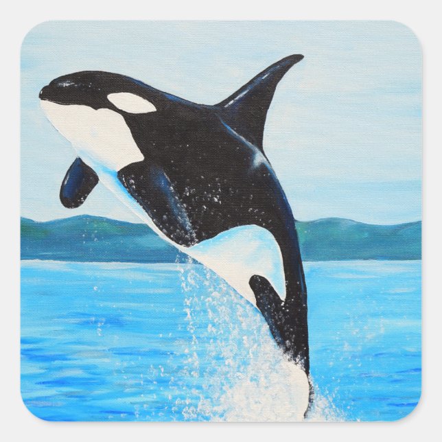 Sticker Carré Peinture Orca (Devant)