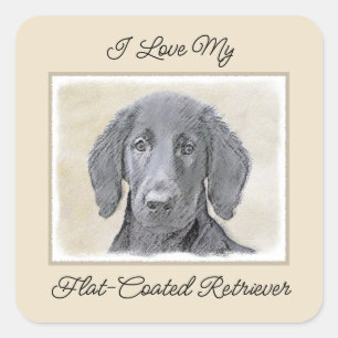 Sticker Carré Peinture Retriever à revêtement plat - Art Chien o