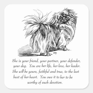 Sticker Carré Pekingese Keepsaké - Femme