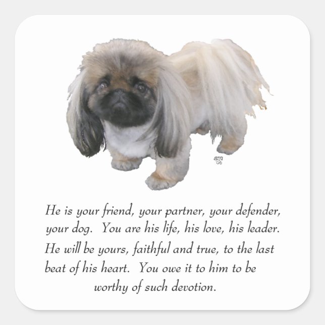 Sticker Carré Pekingese Keepsaké - MALE (Devant)