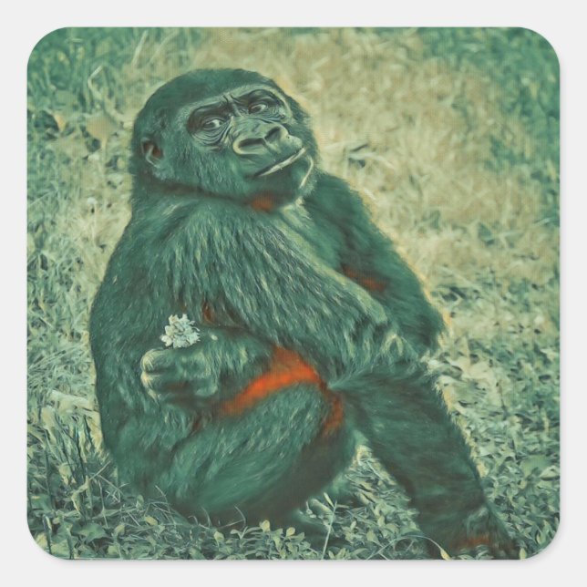 Sticker Carré Penser singe (Devant)