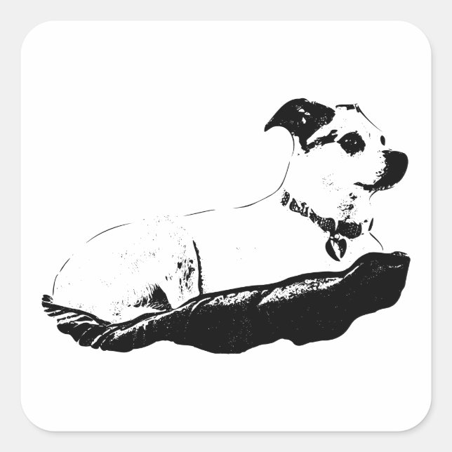 Sticker Carré Perché & Observateur (Devant)