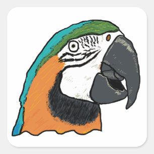 Sticker Carré Perroquet