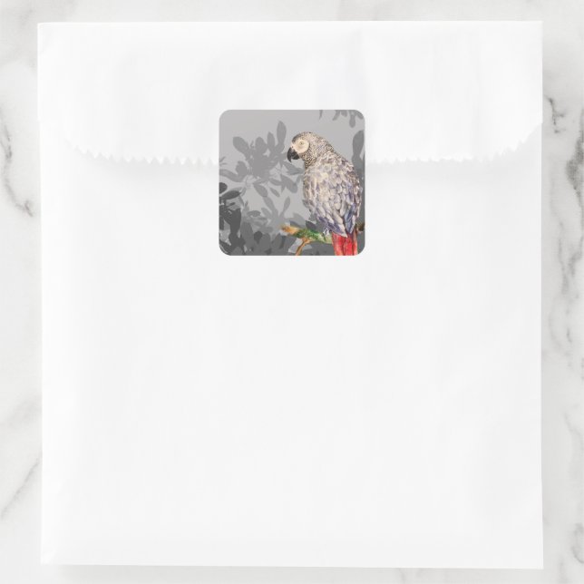 Sticker Carré Perroquet gris africain (Sac)