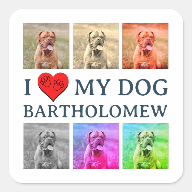 Sticker Carré Personalized Dog Pop Art Pet Lover Gift (Devant)