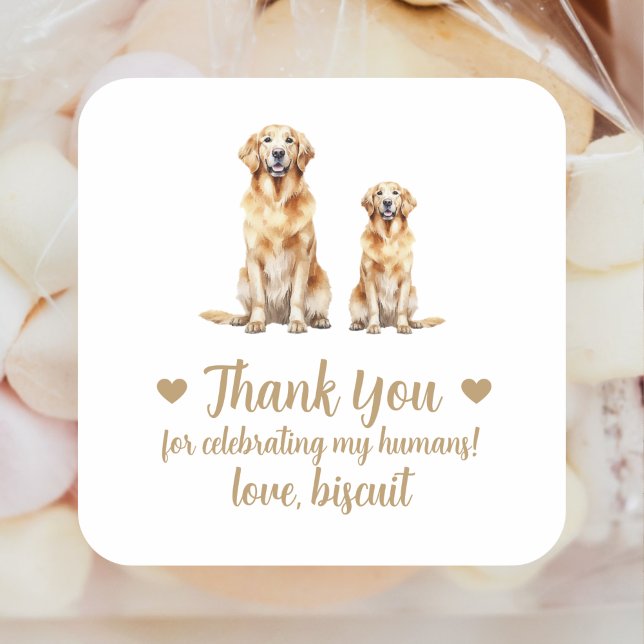 Sticker Carré Personnalisé Golden Retriever Chien Mariage Favori (Créateur téléchargé)