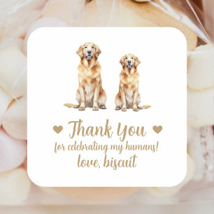 Sticker Carré Personnalisé Golden Retriever Chien Mariage Favori