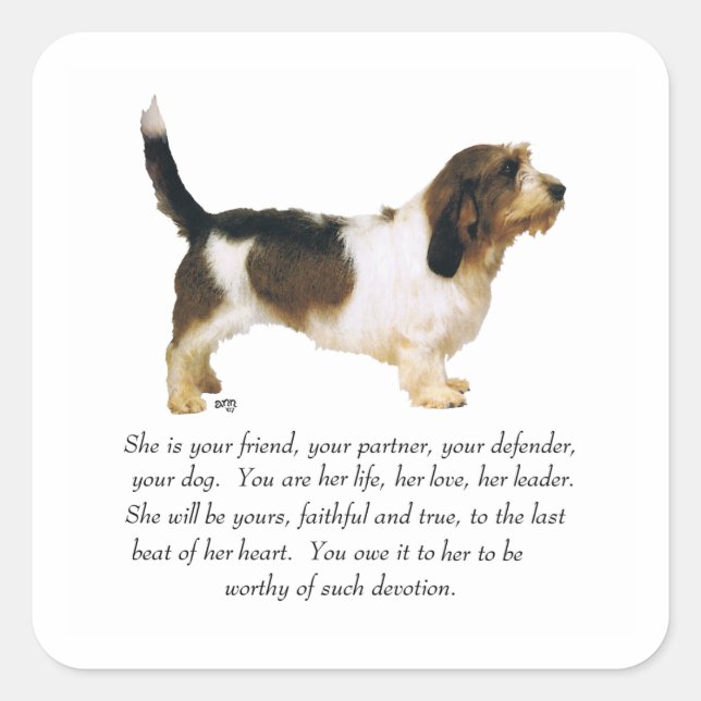 Sticker Carré Petit Basset Griffon Vendeen (Devant)