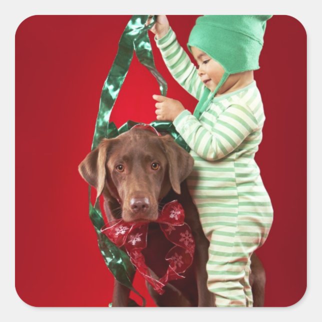 Sticker Carré Petit garçon décorant un chien (Devant)