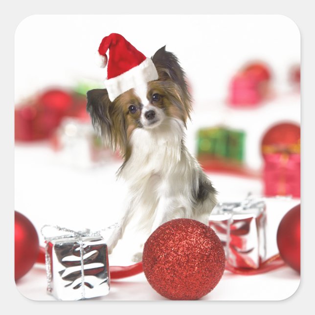 Sticker Carré Petit Papillon Chien Noël Santa Hat (Devant)