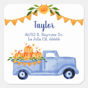 Sticker Carré Petite Citrouille Jumeau Garçon Baby Shower Adress