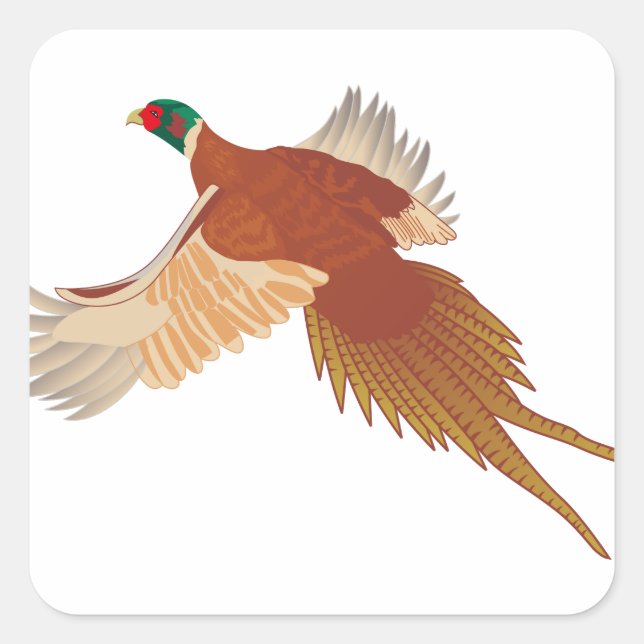 Sticker Carré Pheasant (Devant)