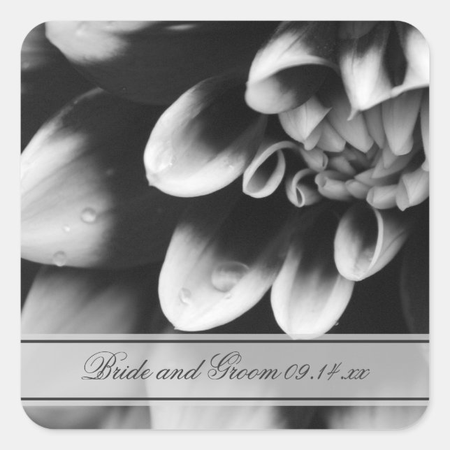 Sticker Carré Phoques Mariage noir et blanc dahlia (Devant)