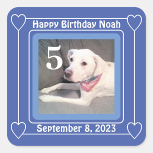 Sticker Carré Photo Anniversaire de Chien Chien Mignonne Numéro