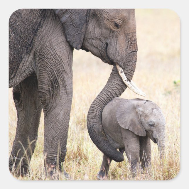 Sticker Carré Photo d'amour maternel (Devant)