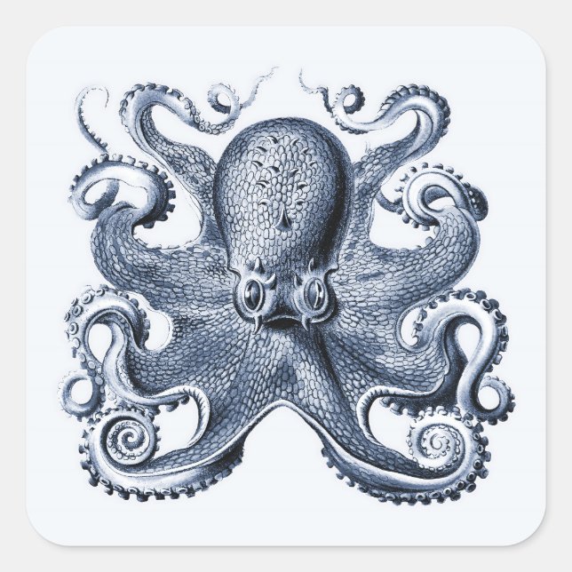 Sticker Carré Photo de la marine Blue Octopus par Ernst Haeckel (Devant)