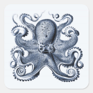 Sticker Carré Photo de la marine Blue Octopus par Ernst Haeckel