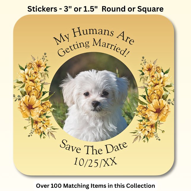 Sticker Carré Photo De Votre Animal De Compagnie, Sauvez La Date (Créateur téléchargé)