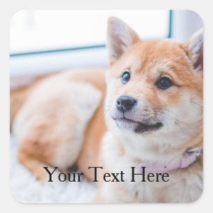 Sticker Carré Photo et texte personnalisés de mignon chien