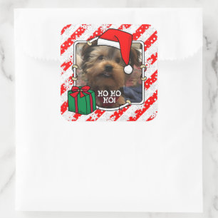 Sticker Carré Photo personnalisée Noël Père Noël Pet HO HO HO HO