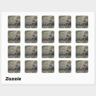 Sticker Carré Photographie de faune et flore de bébé alligator