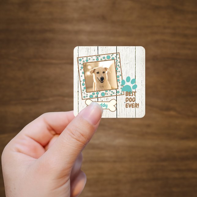Sticker Carré Photos de chien d'animaux de compagnie (Créateur téléchargé)