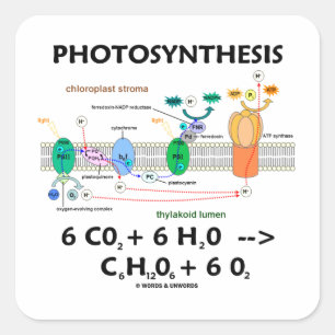 Sticker Carré Photosynthèse (formule chimique)