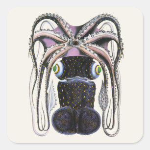 Sticker Carré Pieuvre ou calmar géant, Animaux de la vie marine 