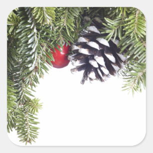 Sticker Carré Pine de Noël Modèle de Berry Rouge