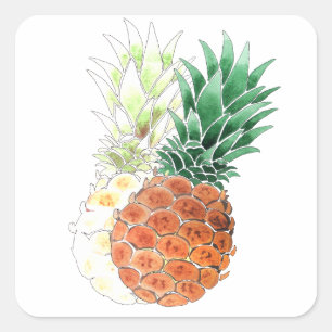 Sticker Carré Pineapple, watercolor.